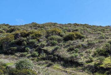 Lote de Terreno en  Oro, Pedregal Playitas, Ensenada, Baja California, 22860, Mex