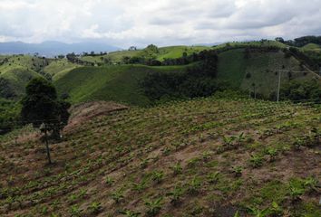 Lote de Terreno en  Cuba Cuba, Pereira