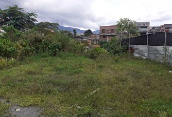 Lote de Terreno en  Las Araucarias, Santa Rosa De Cabal