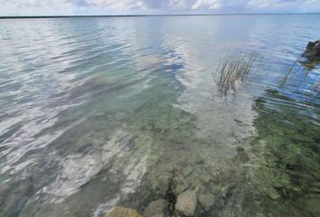 Lote de Terreno en  Bacalar, Bacalar, Bacalar, Quintana Roo