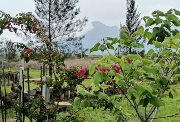 Lote de Terreno en  Carretera Ciudad Guzmán-colima, Tonila, Jalisco, Mex