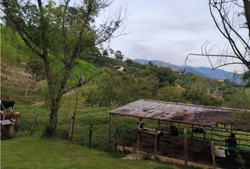 Lote de Terreno en  Amagá, Antioquia