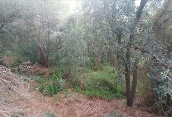 Terreno en  Alella, Barcelona Provincia