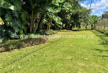 Finca/Hacienda en  El Limón, La Chorrera