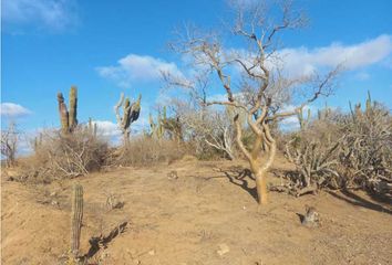 Lote de Terreno en  Portales, Los Cabos