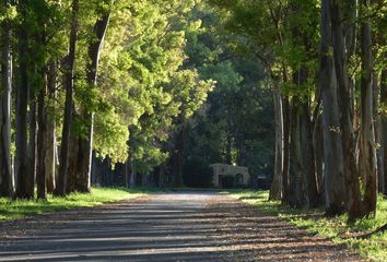 Terrenos en  Haras San Pablo, Partido De General Rodríguez