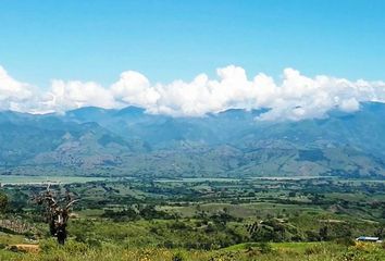 Lote de Terreno en  Cerritos, Pereira