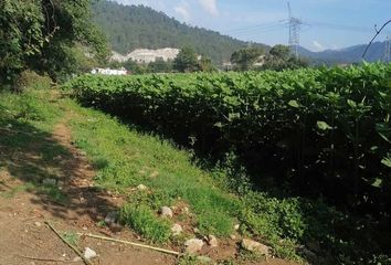 Lote de Terreno en  Amanalco, Estado De México