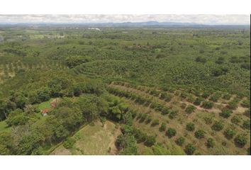 Lote de Terreno en  Manantiales, Norte, Armenia