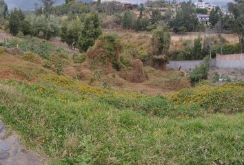 Terreno Comercial en  Cumbayá, Quito