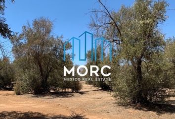 Lote de Terreno en  La Misión, Ensenada