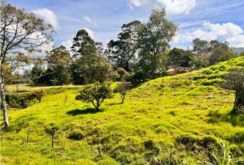 Lote de Terreno en  Rionegro Antioquía