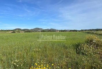 Terreno en  Manacor, Balears (illes)