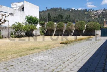 Local en  Llano Chico, Quito