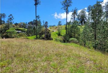 Lote de Terreno en  El Retiro, Antioquia