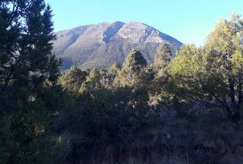 Lote de Terreno en  Arteaga, Arteaga, Arteaga, Coahuila