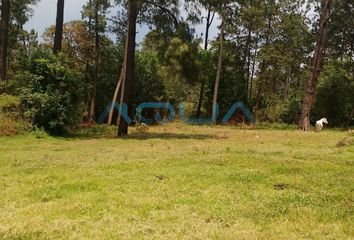 Lote de Terreno en  Avándaro, Valle De Bravo