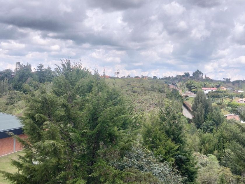 Apartment for rent in Rionegro