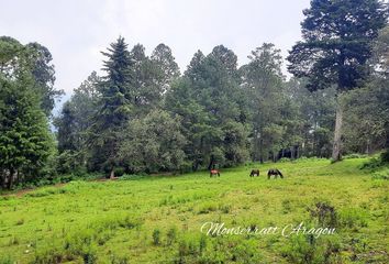 Lote de Terreno en  Amanalco, México, Mex