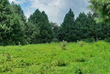 Lote de Terreno en  Avándaro, Valle De Bravo