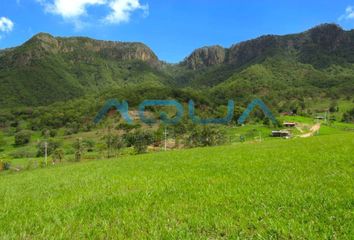 Lote de Terreno en  Temascaltepec, Estado De México