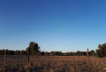 Terrenos en  San Rafael, Mendoza