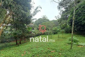 Lote de Terreno en  Coatepec Centro, Coatepec, Veracruz