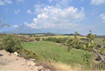 Rancho en  Municipo De Cuauhtémoc (colima)