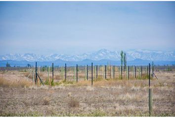 Terrenos en  San Rafael, Mendoza