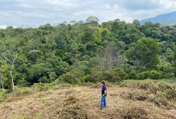 Lote de Terreno en  Rio Pance, Sur, Cali, Valle Del Cauca, Colombia