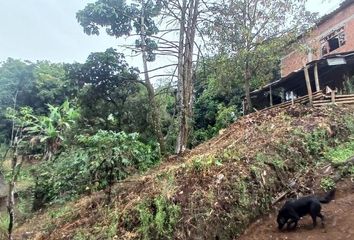 Lote de Terreno en  Maraya, Pereira