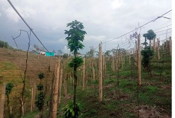 Lote de Terreno en  Caldas, Centro Norte, Santa Rosa De Cabal