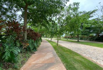Lote de Terreno en  Algarrobos Desarrollo Residencial, Mérida, Yucatán