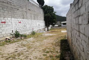 Lote de Terreno en  San Nicolás, San Cristóbal De Las Casas