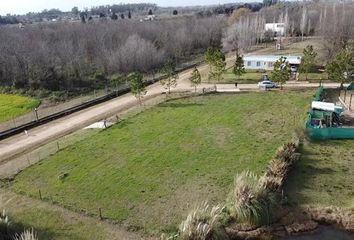 Terrenos en  La Arbolada De Capilla, Exaltación De La Cruz