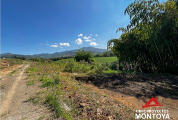 Lote de Terreno en  Cerritos, Pereira