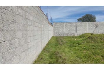 Lote de Terreno en  Hueyotlipan, Tlaxcala