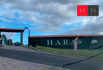 Lote de Terreno en  Avenida Las Haras, Residencial Haras Del Bosque, Amozoc, Puebla, 72364, Mex