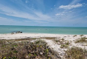 Lote de Terreno en  Buenavista, Ciudad Del Carmen, Carmen, Campeche