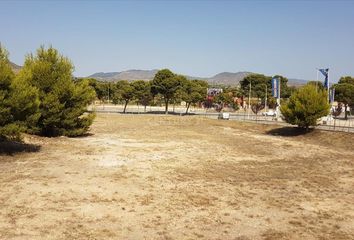 Terreno en  Aspe, Alicante Provincia