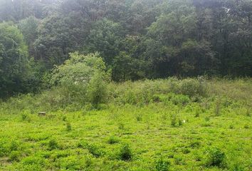 Lote de Terreno en  Avándaro, Valle De Bravo