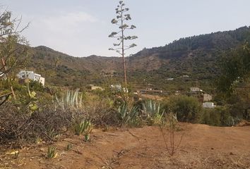 Terreno en  Valsequillo, Palmas (las)