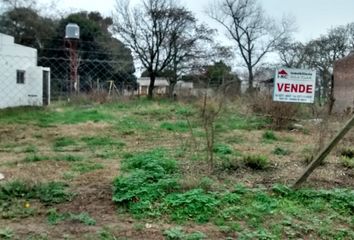 Terrenos en  Carmen De Areco, Partido De Carmen De Areco