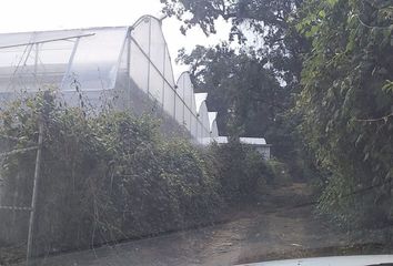 Lote de Terreno en  Tétela Del Monte, Cuernavaca, Morelos