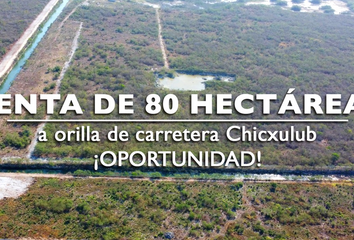 Lote de Terreno en  Chicxulub Pueblo, Yucatán