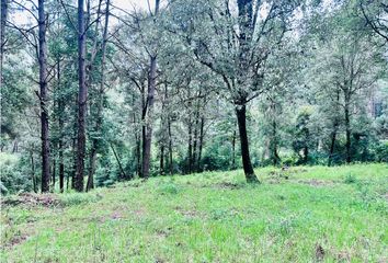 Lote de Terreno en  Avándaro, Valle De Bravo