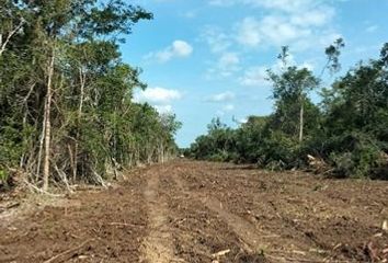 Lote de Terreno en  Tzucacab, Yucatán