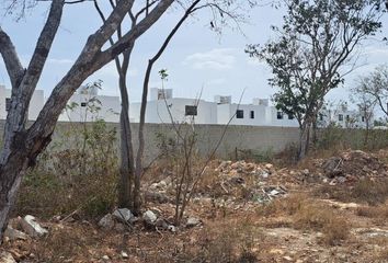 Lote de Terreno en  Calle 20, Conkal, Yucatán, 97345, Mex