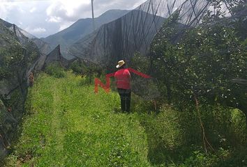 Lote de Terreno en  Arteaga, Arteaga, Arteaga, Coahuila