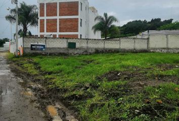 Lote de Terreno en  El Lencero, Municipio De Emiliano Zapata (veracruz)